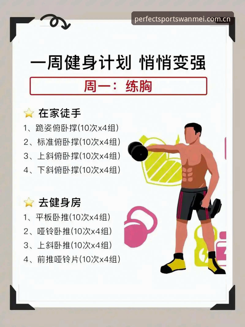 完美体育观赛服务 完美体育观赛服务实用指南:从新手到老手的必备知识
